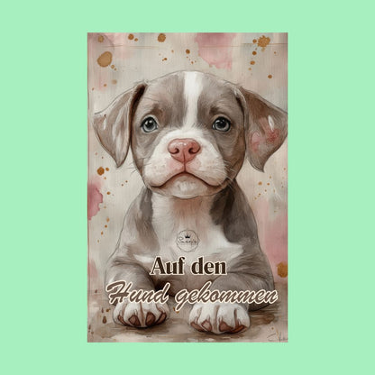 Auf den Hund gekommen